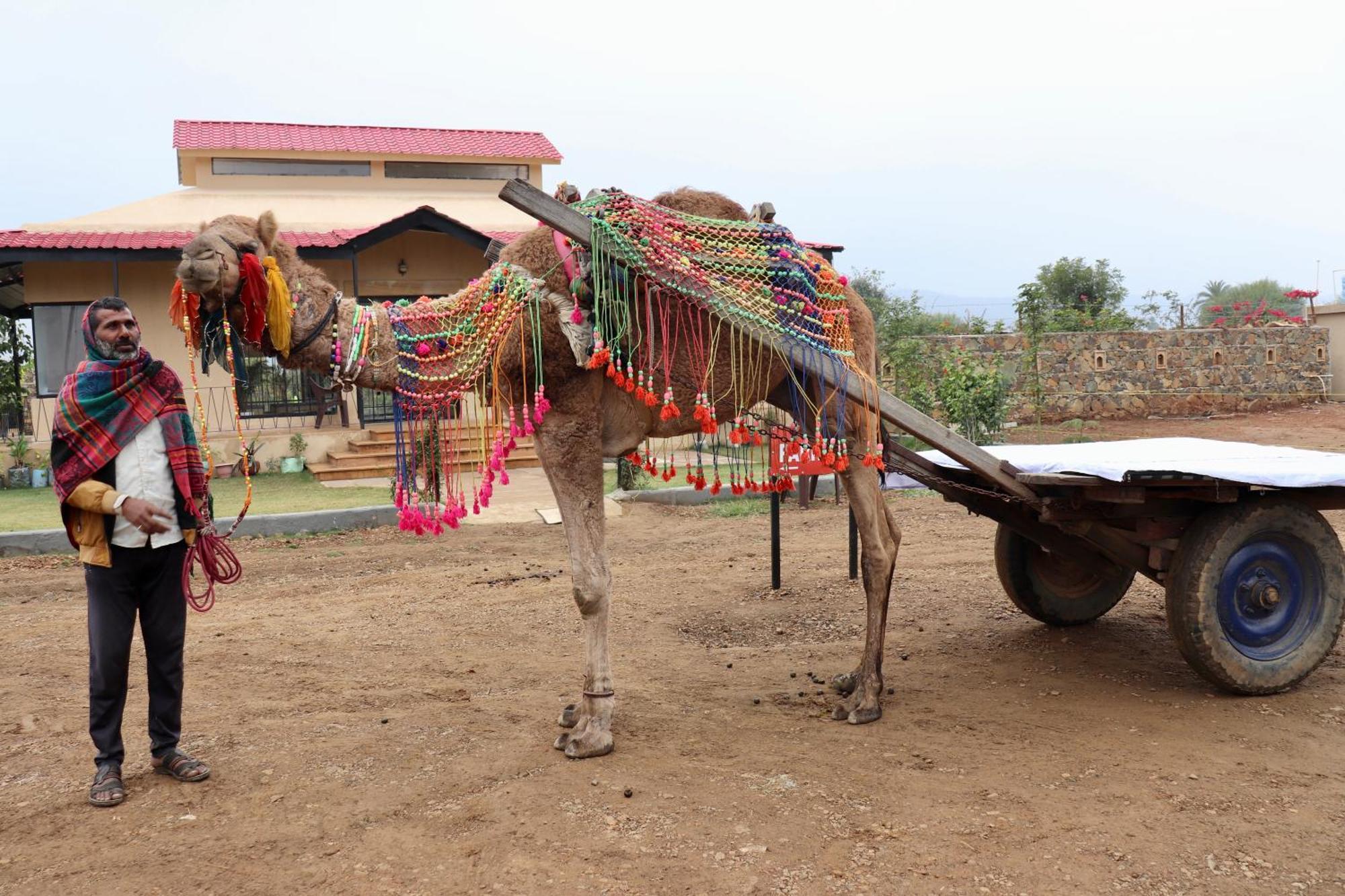 Meladin Sariska Farm stay